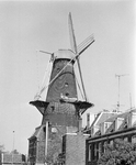 855726 Gezicht op de molen Rijn en Zon aan de Adelaarstraat te Utrecht, tijdens de restauratie, vanuit de Adelaarstraat.